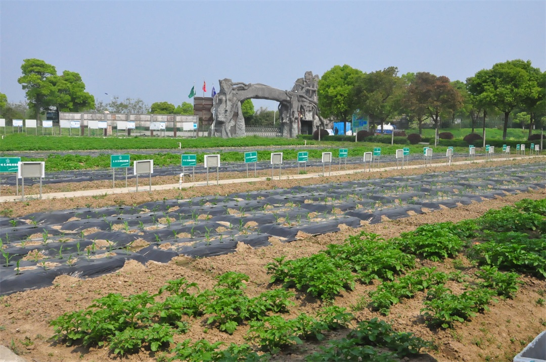 20170416-上膳源農場(chang) (6).JPG