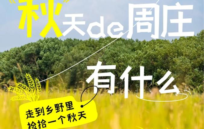 豐(feng)收季丨走(zou)到(dao)香村裏，拾撿一(yi)箇(ge)秋天。 